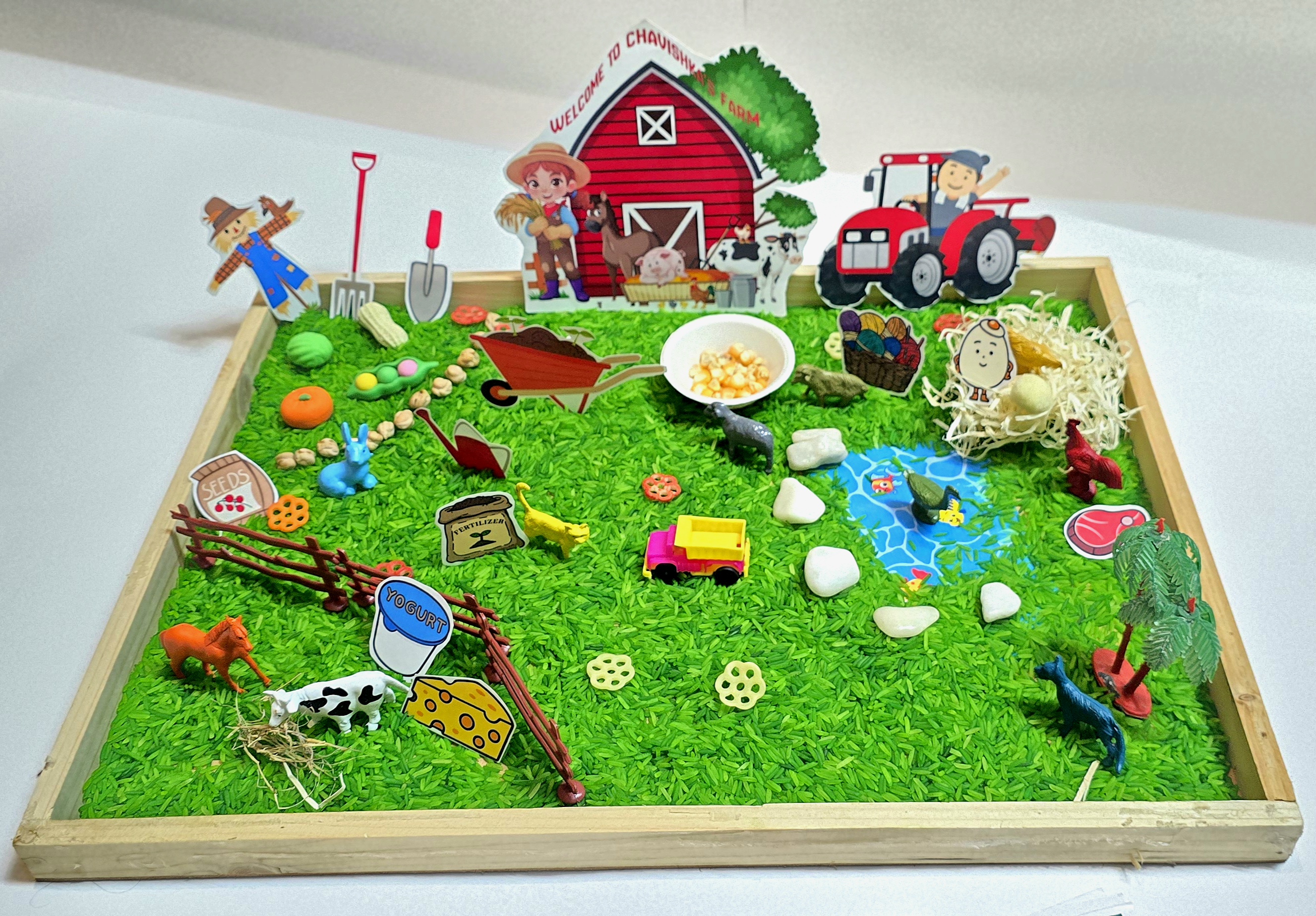 CreativeCona Farm Sensory Bin: Montessori Toy India (2-6Y)
